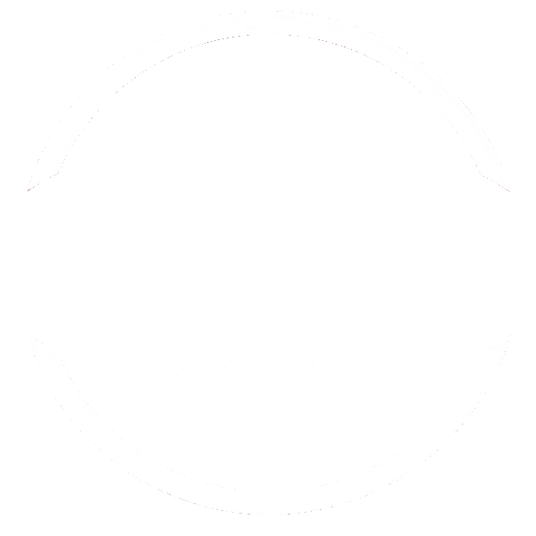 The Automotive Marketing Group
